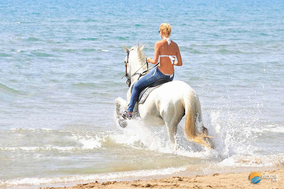 Naxos island activities, horseback riding