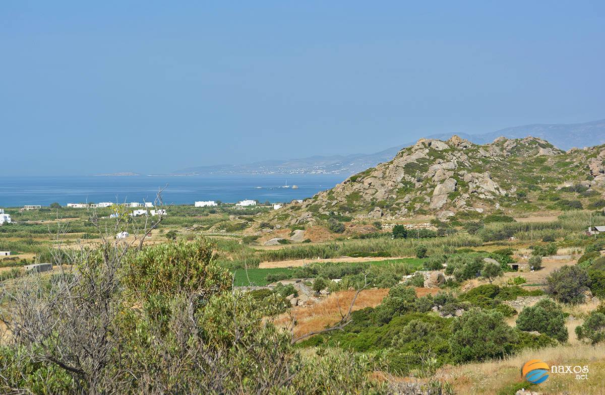 Naxos countryside with lush valleys of vineyards and olive groves