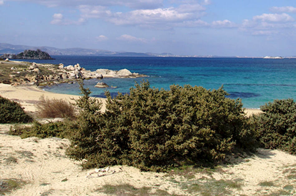 Escapeland Studios in Mikri Vigla, Naxos