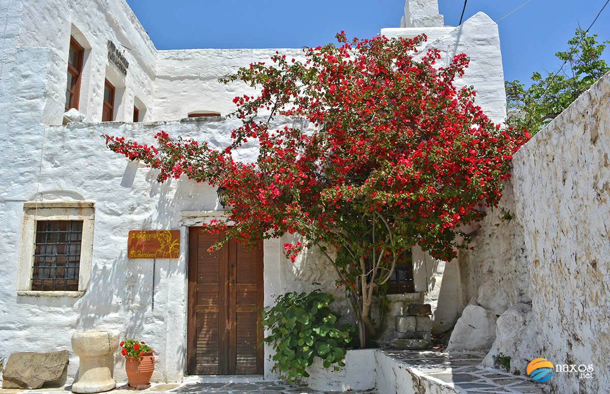 Samples of Naxos architecture throughout time