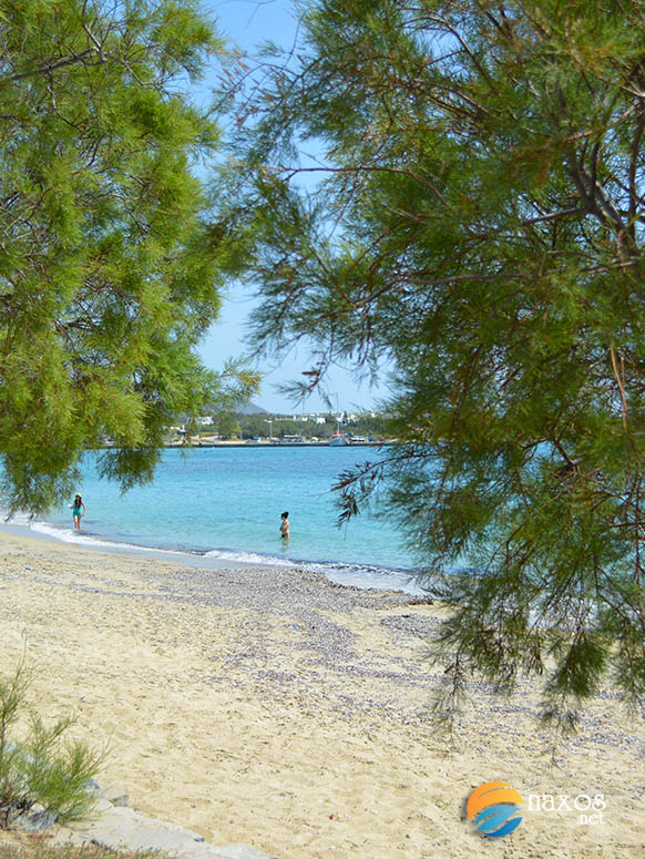 Peeking at swimmers at Agia Anna beach, Naxos