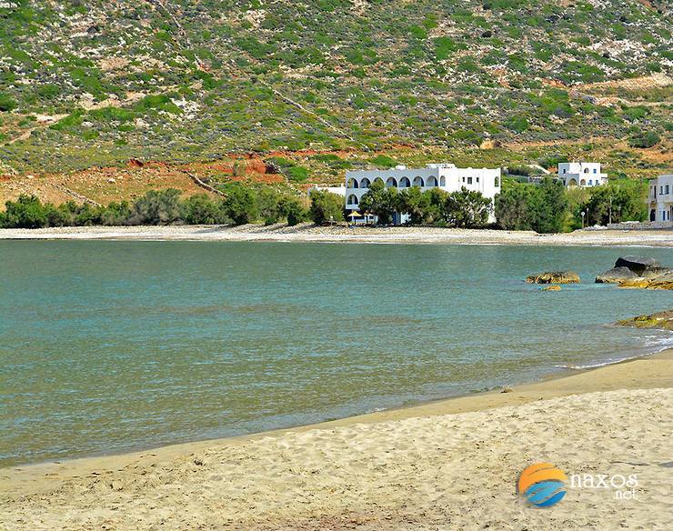 Apollonas beach