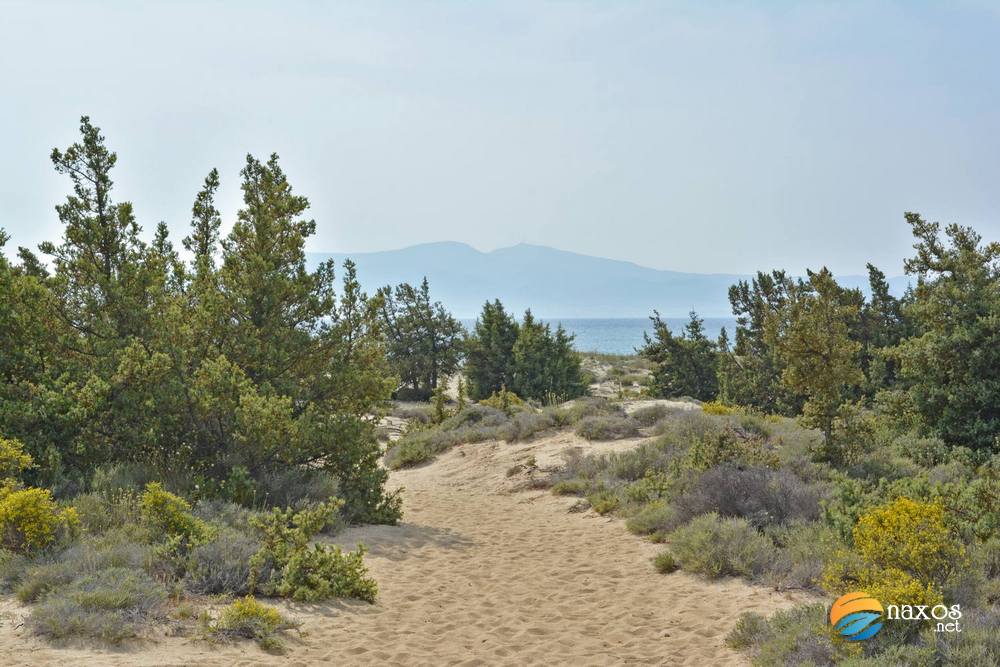 Glyfada beach, Naxos