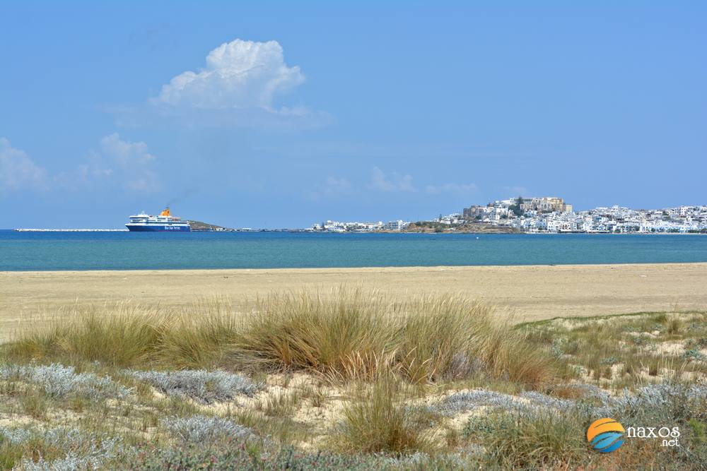View of Naxos Town from Laguna