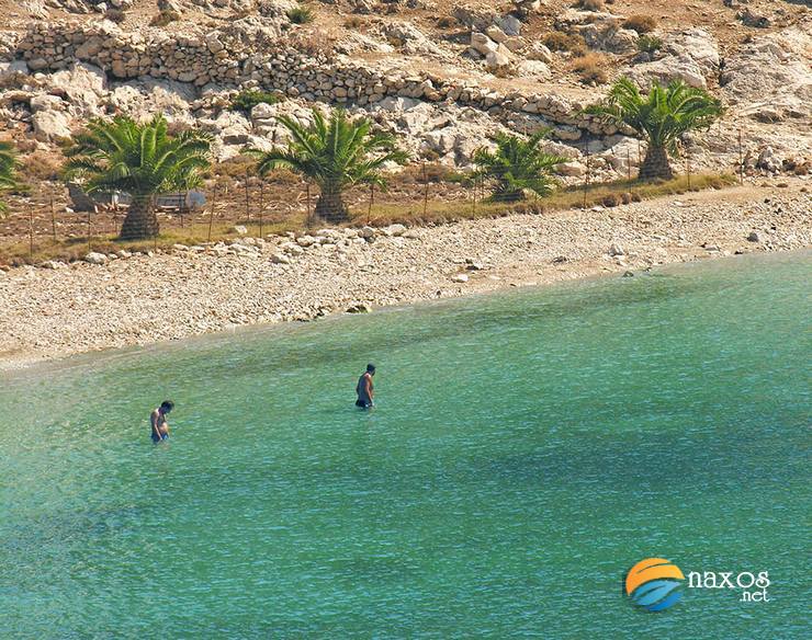 Panormos beach