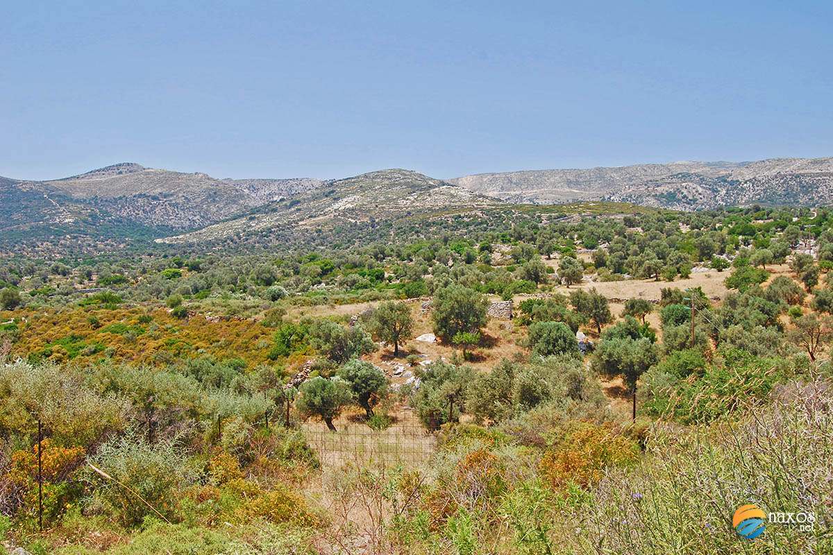Farmlands of Naxos