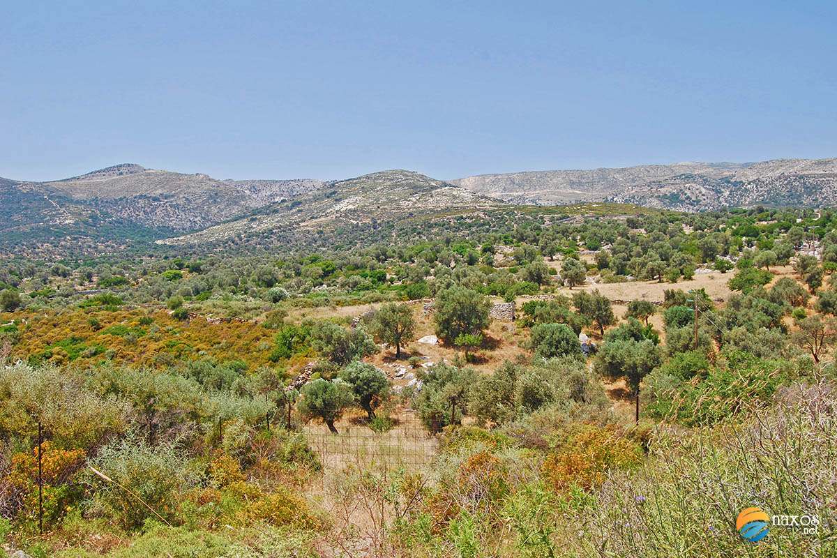 Naxos countryside, The Farmlands