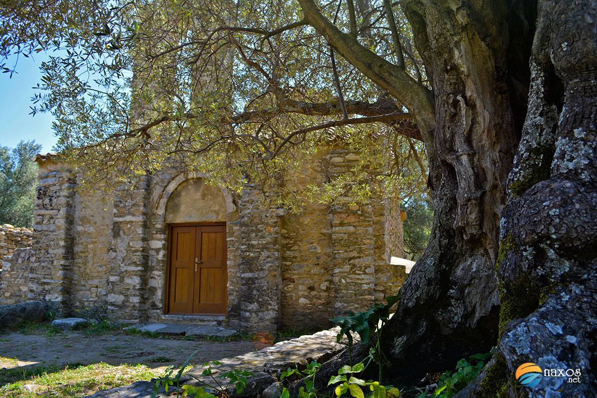 Agios Georgios Diassoritis in between huge olive trees