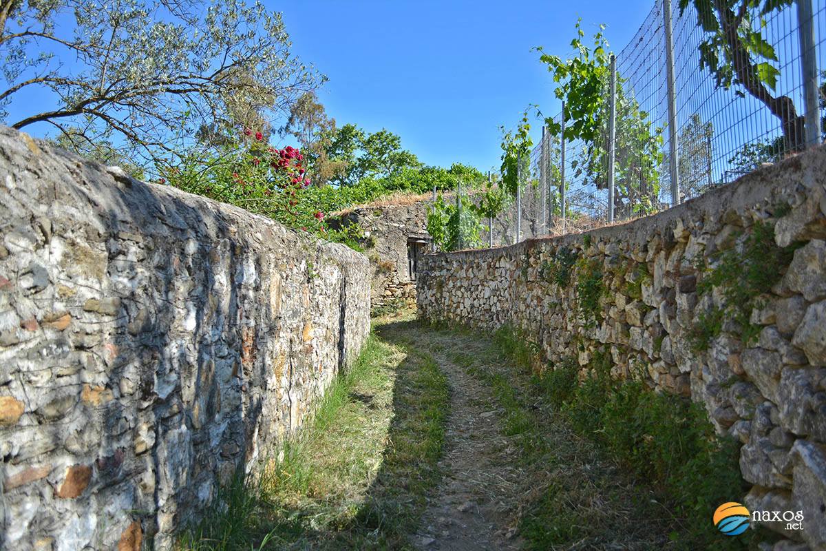The rural path to the Byzantine church of Agios Georgios Diassoritis
