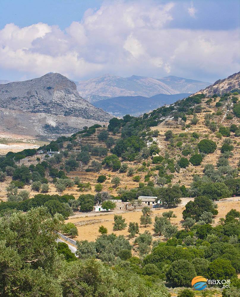 The countryside of Naxos