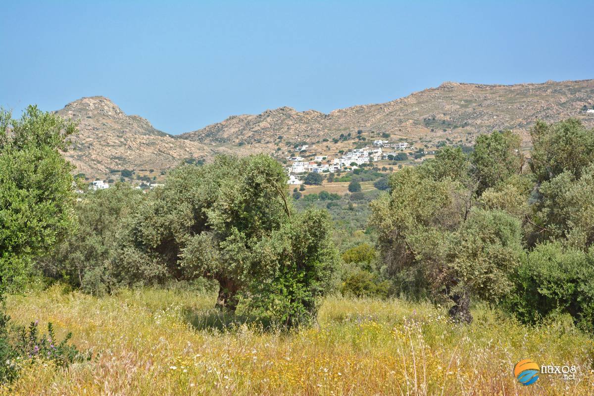 Distant view of Galini village, Naxos