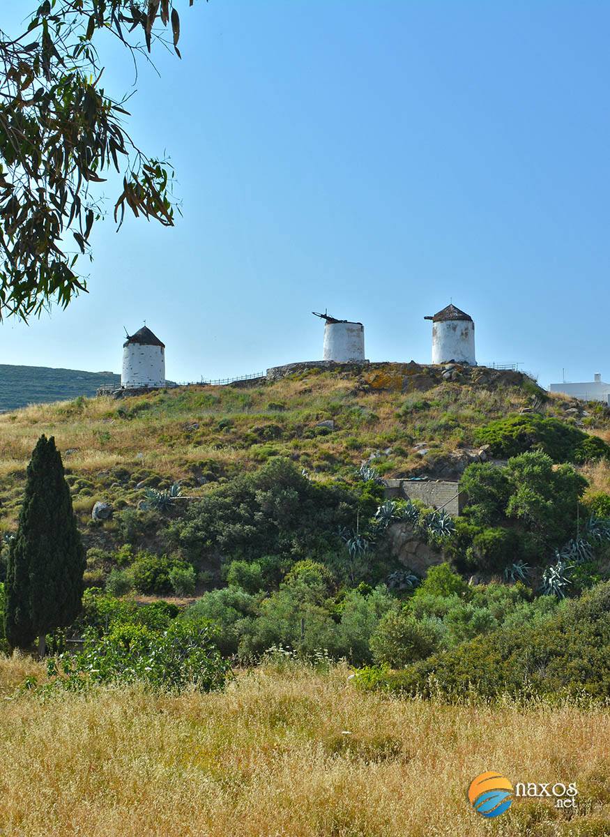 The 3 windmills, landmark of Tripodes (Vivlos) of Naxos